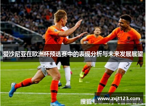 爱沙尼亚在欧洲杯预选赛中的表现分析与未来发展展望