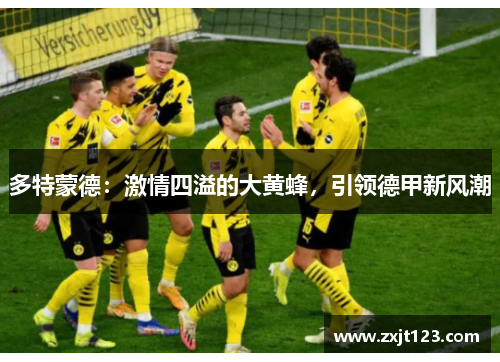 多特蒙德：激情四溢的大黄蜂，引领德甲新风潮